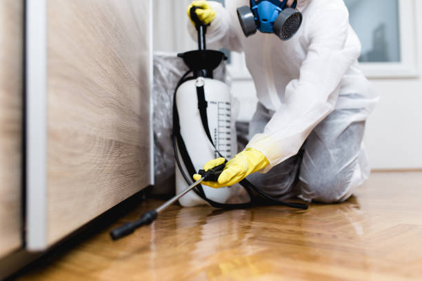 Best Affordable Pest Control Services  in Goodhue, MN