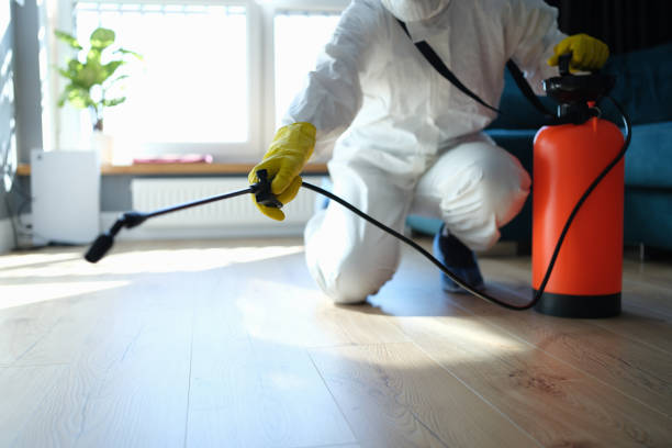 Flea Control Services in Goodhue, MN